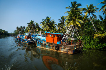 Naklejka na ściany i meble Ocean fishing boats along the canal Kerala backwaters shore with palm trees between Alappuzha and Kollam, India