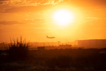 Airline landing at sunset