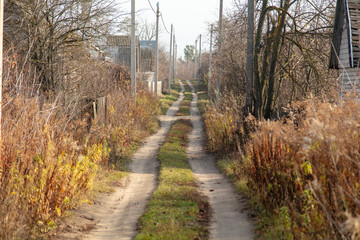 Dirt road in the country