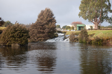 landscape with river and trees in Tasmania Tarkine Region 