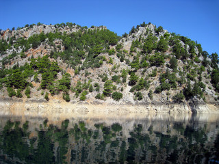 landscape with trees and mountains