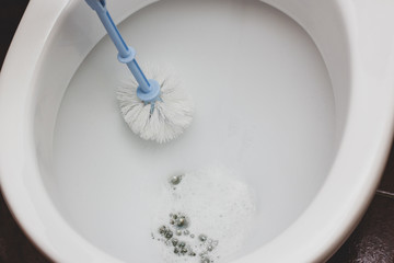 Female hands in gloves wash and disinfect a white toilet with a brush and cleaning agent