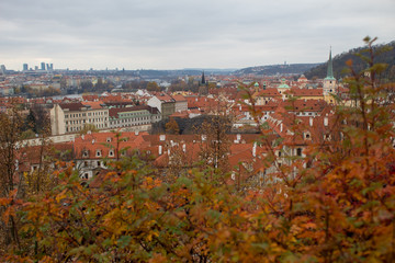 Fototapeta premium Panorama of the Czech city of Prague with tiled orange roofs from the observation deck of Prague Castle on a cloudy day on the eve of Christmas.