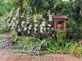 chair in the garden