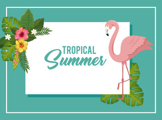 tropical summer poster with flamingo and flowers vector illustration design