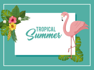 tropical summer poster with flamingo and flowers vector illustration design © Gstudio