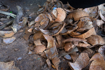 Unused coconut shell scrap.