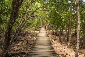 Gordijnen Path to the beach through mangrove forest © skynex