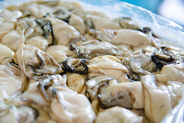 牡蠣 原料　カキ　かき　oyster