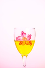 glass of cocktails and flowers isolated on white