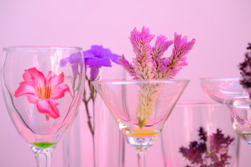 glasses of cocktails on white background