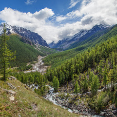 Fototapeta na wymiar Picturesque mountain landscape. Wild gorge with a river. Summer green forests on the steep mountain slopes. Snow-capped peaks in the clouds.