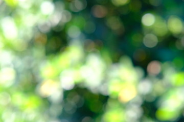 Obraz premium abstract bokeh background