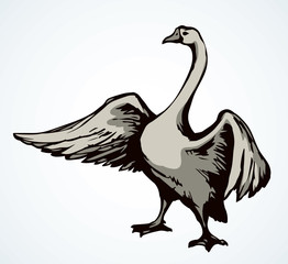 Goose in flight. Vector drawing