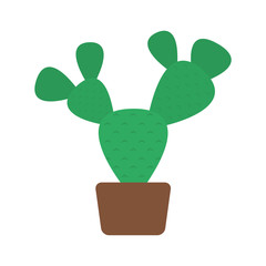 cactus mexican plant isolated icon