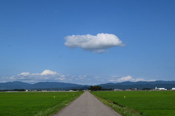 農業専用道路