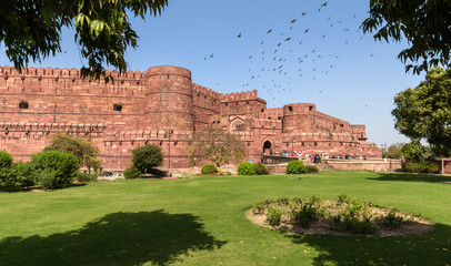 A view of the ancient Agra Fort built with red sandstone from the green Mughal Gardens that...