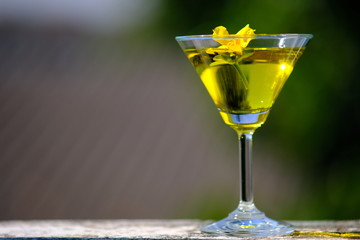 glasses of cocktails on green background