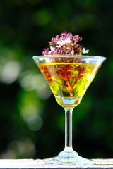 glasses of orange martini cocktail