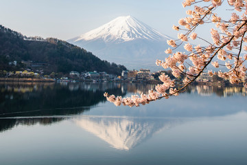 Fuji Mountain Reflection with Sakura Branches in Spring Season, Kawaguchiko Lake, Japan
