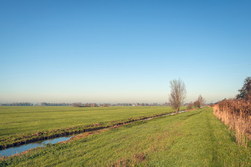 Fototapeta premium Flat polder landscape in autumn