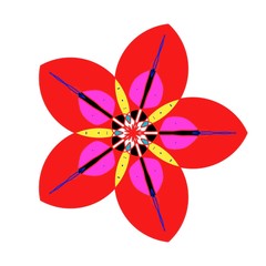 flower on white background