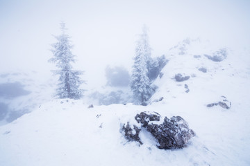 Berggipfel in den Alpen mit Schnee und Raureif bedeckt