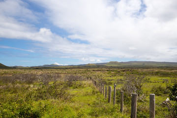 Fototapeta na wymiar View of the landscape along the northern coast of Easter Island. Easter Island, Chile