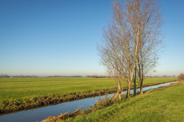 Flat polder landscape in the fall season