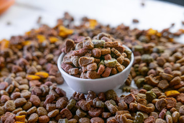 Dry pet food in a white ceramic bowl