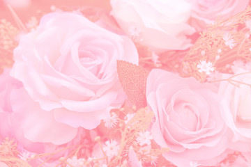 Fototapeta premium Blurred of rose flowers pink blooming. in the pastel color style for background.