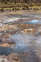 Hot spring and geyser at Sajama National Park in Bolivia