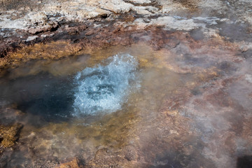 Fototapeta na wymiar Hot spring and geyser at Sajama National Park in Bolivia