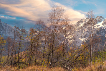 snowy mountains of the Caucasus.