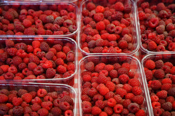 Fresh raspberries at a farmers market