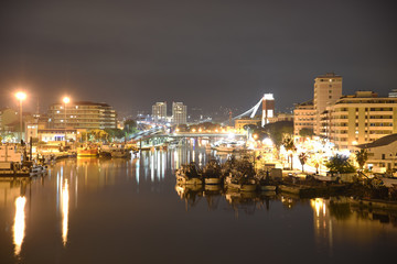 Beautiful Pescara City View by Night Illuminated 