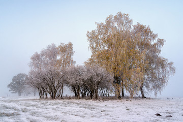 Zimowy krajobraz Podlasia, Polska © podlaski49