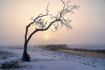 Zimowy krajobraz Podlasia, Polska