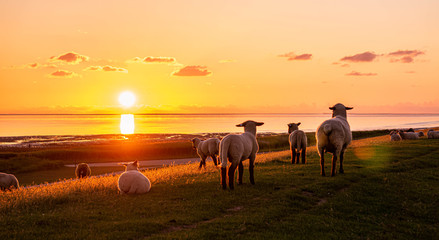 Abendrot Sonnenuntergang an der Nordsee 