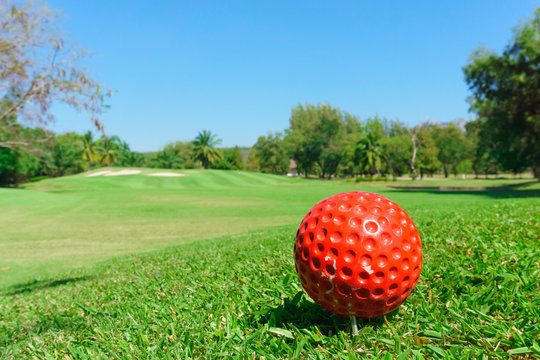 Red Golf Ball On Green