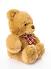 Fluffy teddy bear isolated on white