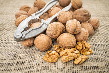 Walnut kernel background. Nutcracker with walnut