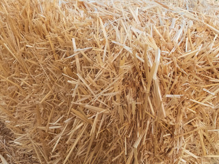 Stacks of dry straw. Piled straw haystacks. Natural dry straw texture background