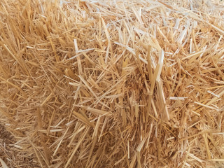 Stacks of dry straw. Piled straw haystacks. Natural dry straw texture background