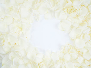 Frame made of white rose petals