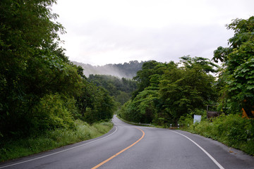 curvy green road view, forest and mountains