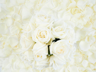 Fototapeta na wymiar Frame made of white rose petals