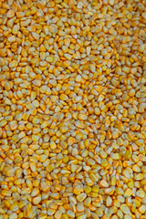 Seasonal vegetables are stacked in boxes at the grocery store.