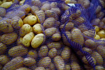 Seasonal vegetables are stacked in boxes at the grocery store.