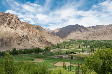 Ladakh, India - Jun 30 2019 - Beautiful scenic view from Phyang Monastery in Leh, Ladakh, Jammu and Kashmir, India.